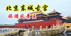 我把女的操的嗯啊叫免费网站中国北京-东城古宫旅游风景区